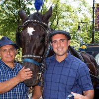 Horse Carriage Rides