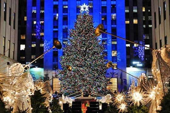 New York Christmas Holiday Small-Group Walking Tour