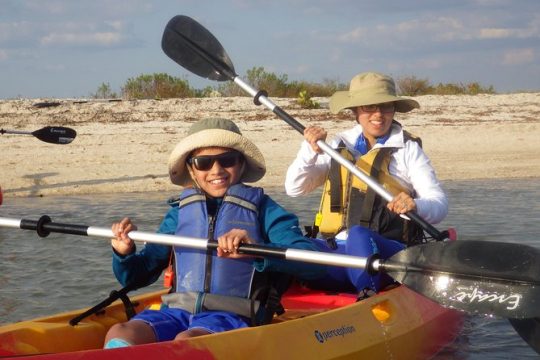 Small Group Boat, Kayak and Walking Guided Eco Tour in Everglades National Park