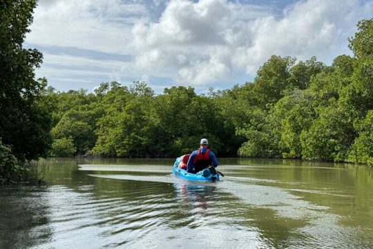 Everglades Explorer 4 Hour Everglades Kayak Tour