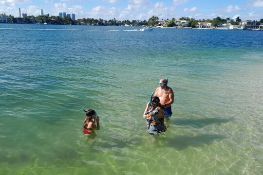 Bayside Market Place Snorkeling for Beginners