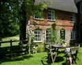 Beech Cottage in Bridport - Dorset