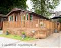 Buttermere Lodge in  - Glade 5