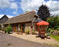 The Thatch in Elsdon - Lyme Regis