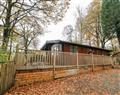 Tree View Lodge in  - Troutbeck Bridge