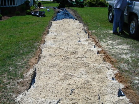 Stone walkway and rooster 005