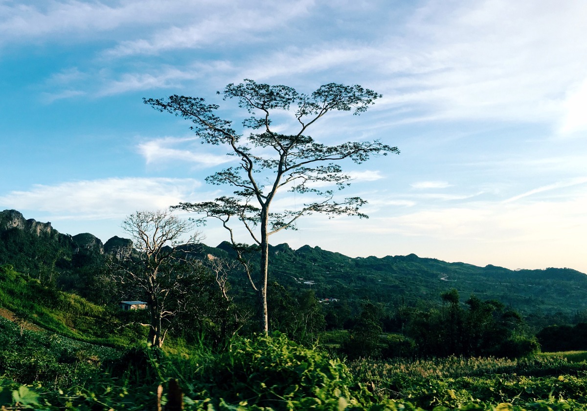 Osmeña Peak