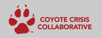 Coyote Logo