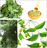 Neem Extract