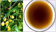 Neem Products