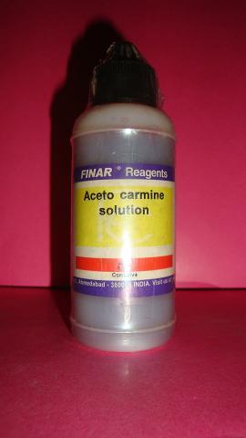 Aceto carmine solution