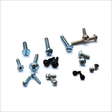 Silver Ss Screw