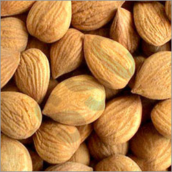 Bitter Almond Oil