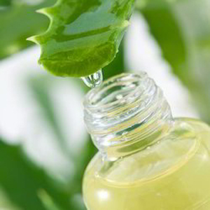 Aloe Vera Products