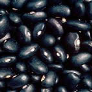 Black Gram Beans