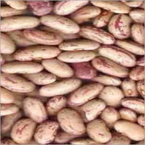 Kidney Beans