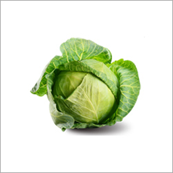 Cabbage