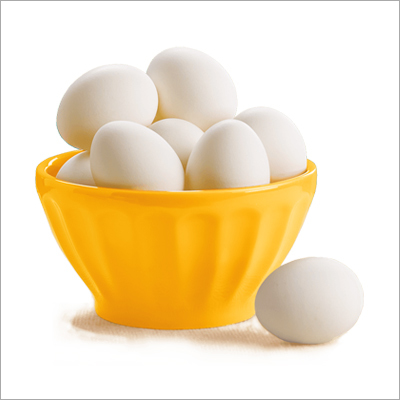 Poultry Egg