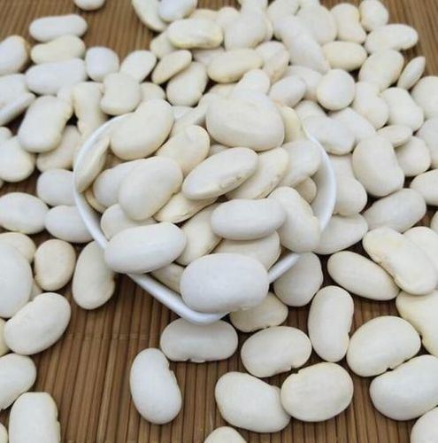 Premium Grade White Kidney Beans