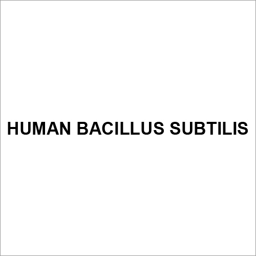 Human Bacillus Subtilis