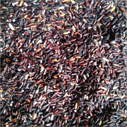 Organic Black Rice