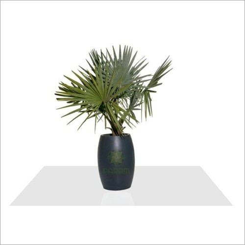 Frp Fiberglass Planter Application: Indoor And Outdoor