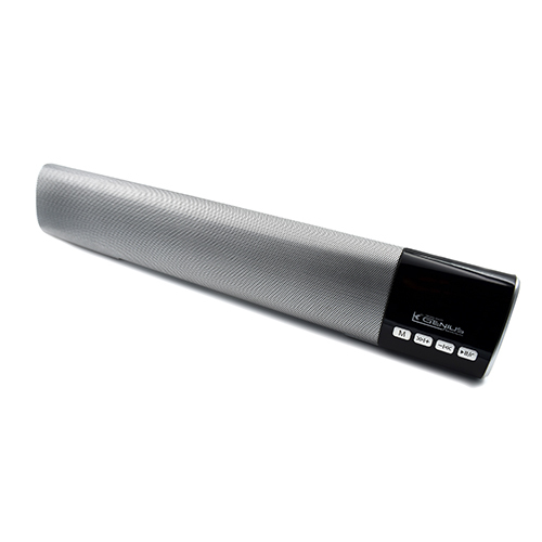 Grey-Black Portable Sound Bar