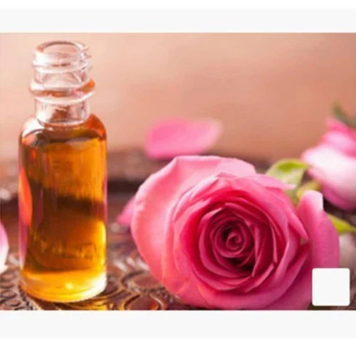 Rose Essential Oil - 100% Pure Flowers | All Age Group, 24-Month Shelf Life, Store in Dry Place