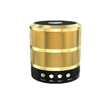 Different Available Mz Ws-887 Portable Bluetooth Speaker