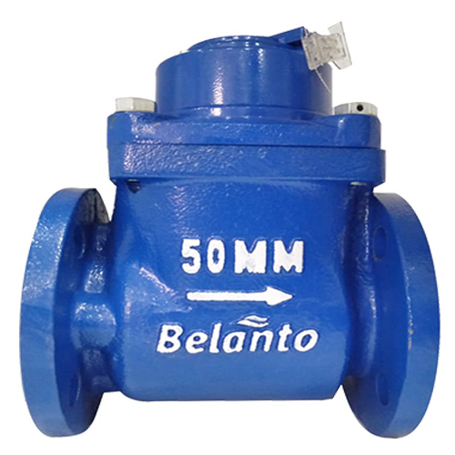 Blue Belanto Water Meter