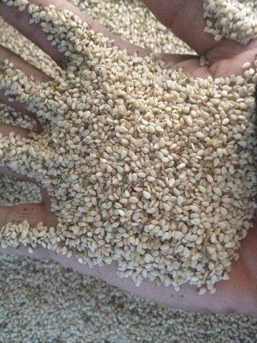 High Quality Raw White Sesame Seeds 99.9 % purity