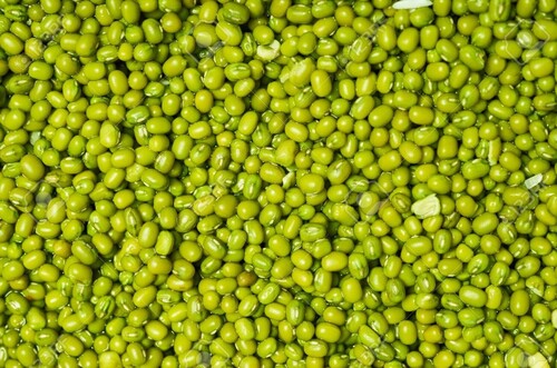 Mung bean