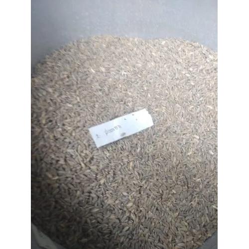 Navara paddy seed