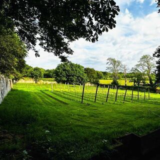 The Gunroom - Bontnewydd - 1