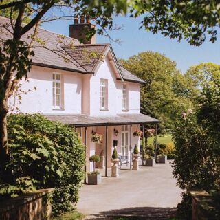 The Gunroom - Bontnewydd - 7