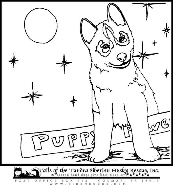 husky-puppy-coloring-pages-printable