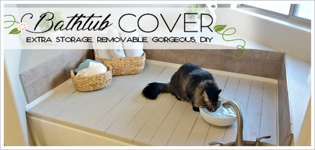 DIY Bathtub Cover FE