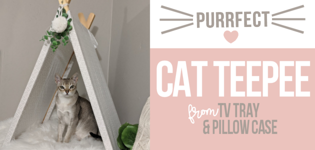 If you're a cat person (or looking for an awesome gift for someone who is) we'll show you how easy it is to make a DIY cat teepee from an old TV tray!