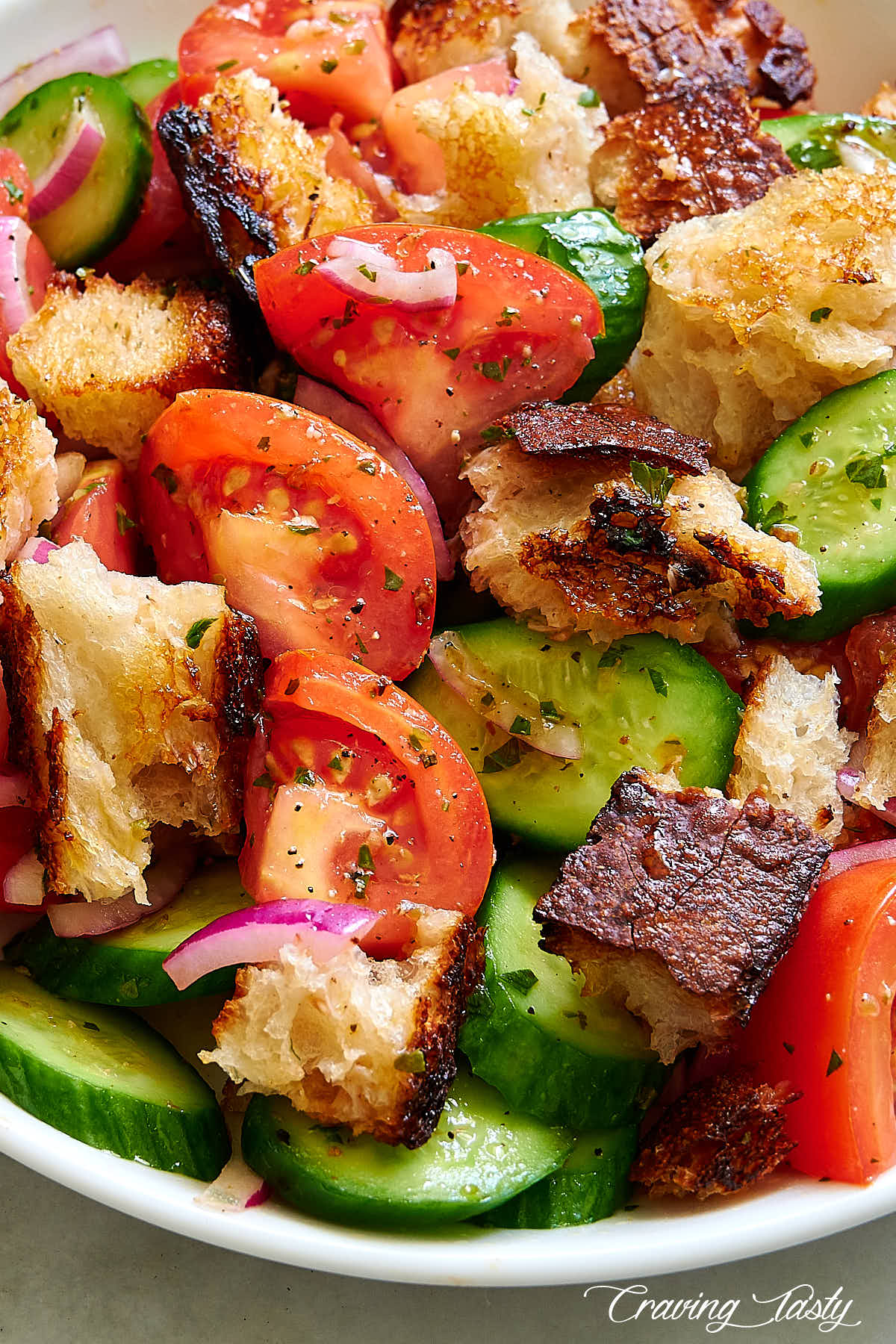 Close up of bread salad consisting of chunks of sourdough bread, tomatoes, cucumbers and red onions.