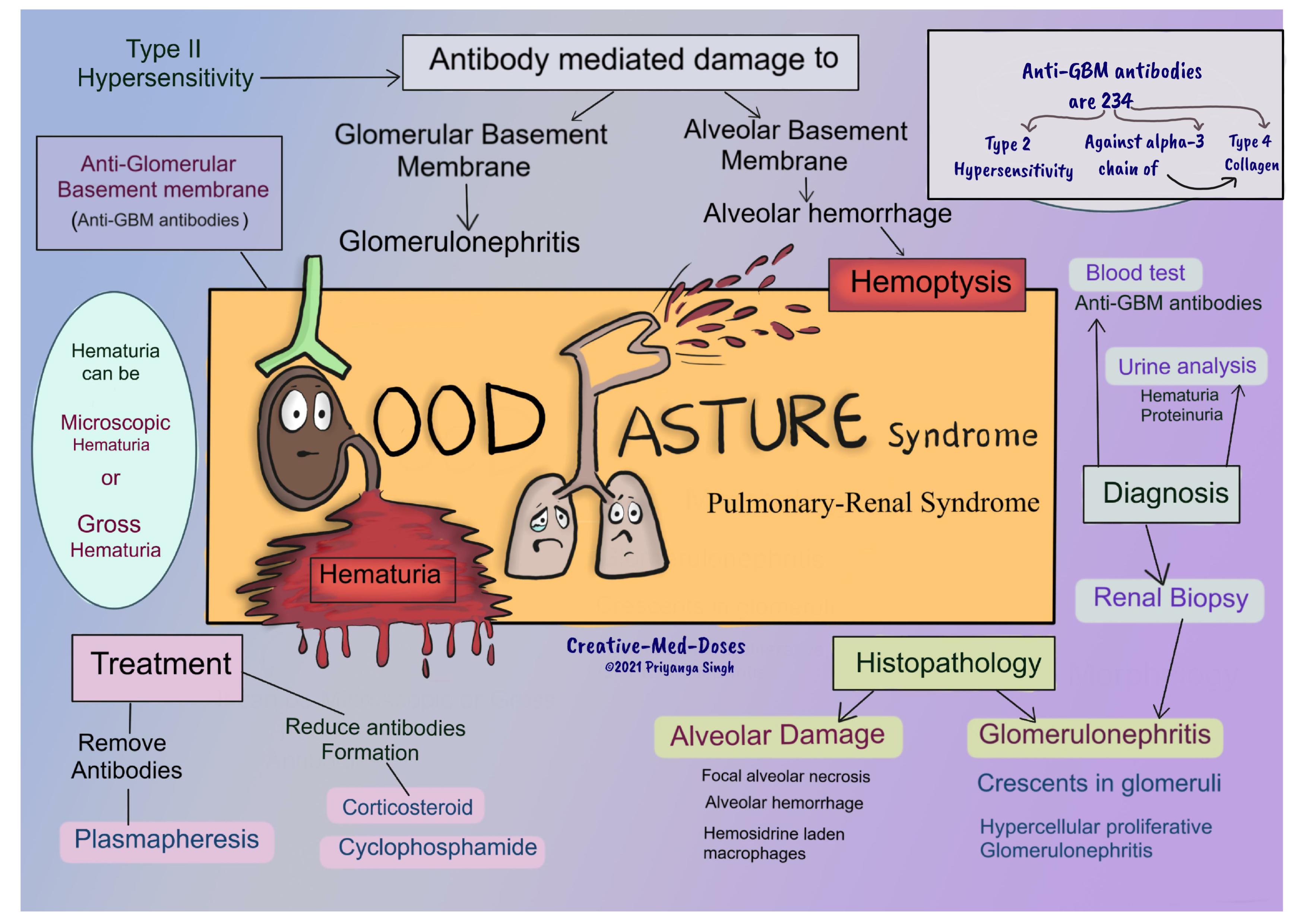 Glomerular Basement Membrane