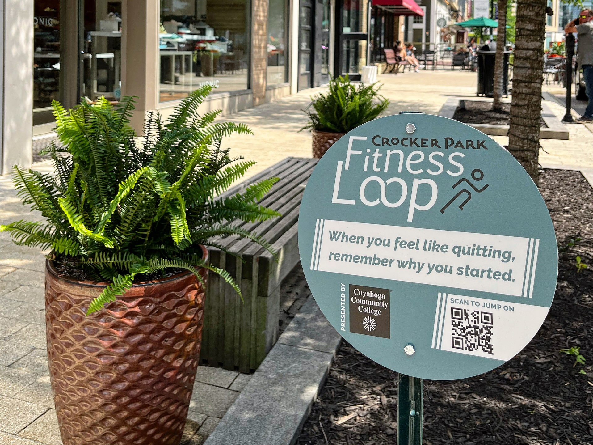 Fitness Loop