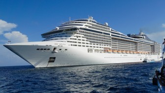 MSC Divnia