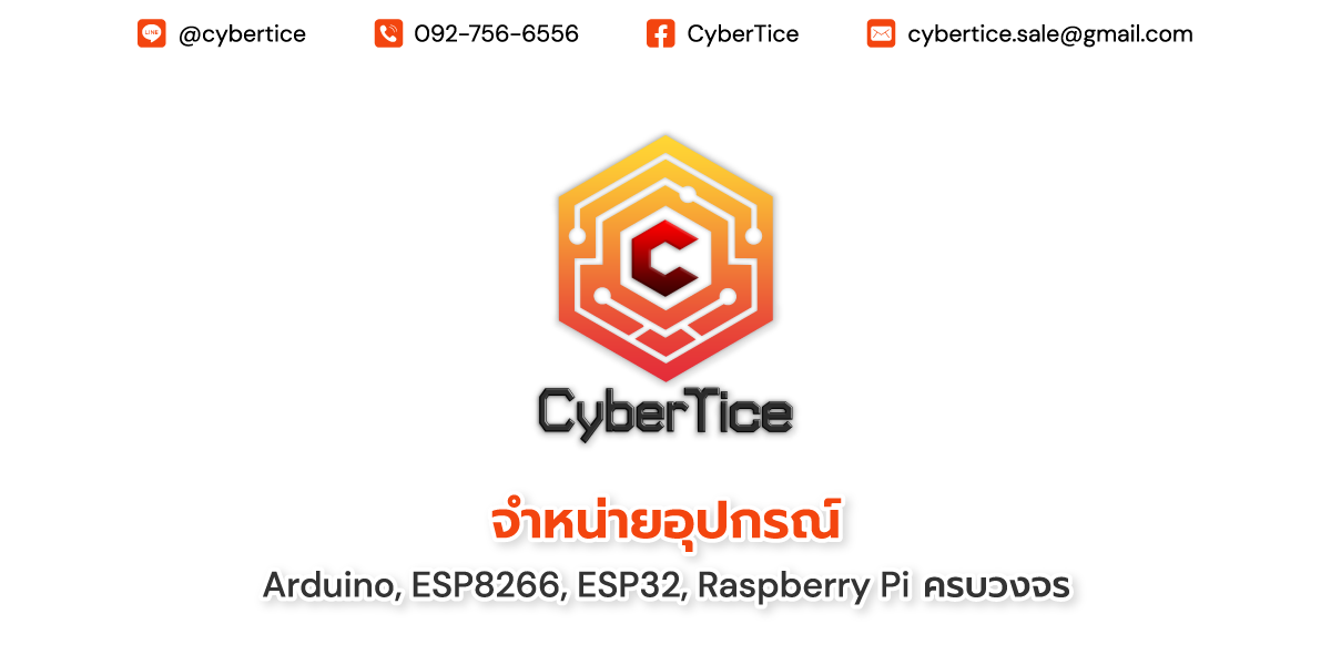 CyberTice