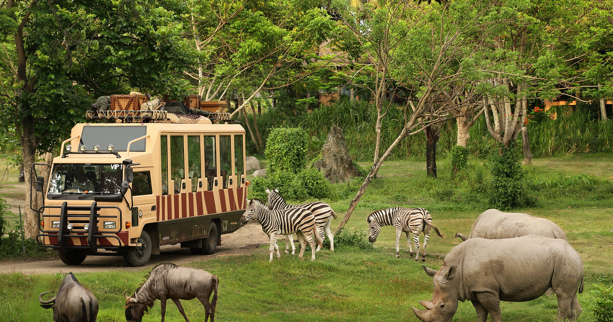 Bali Safari and Marine Park: Day Admission Ticket