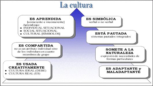 Tipos De Cultura