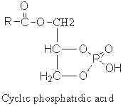 Phosphatidic acid | Cyberlipid