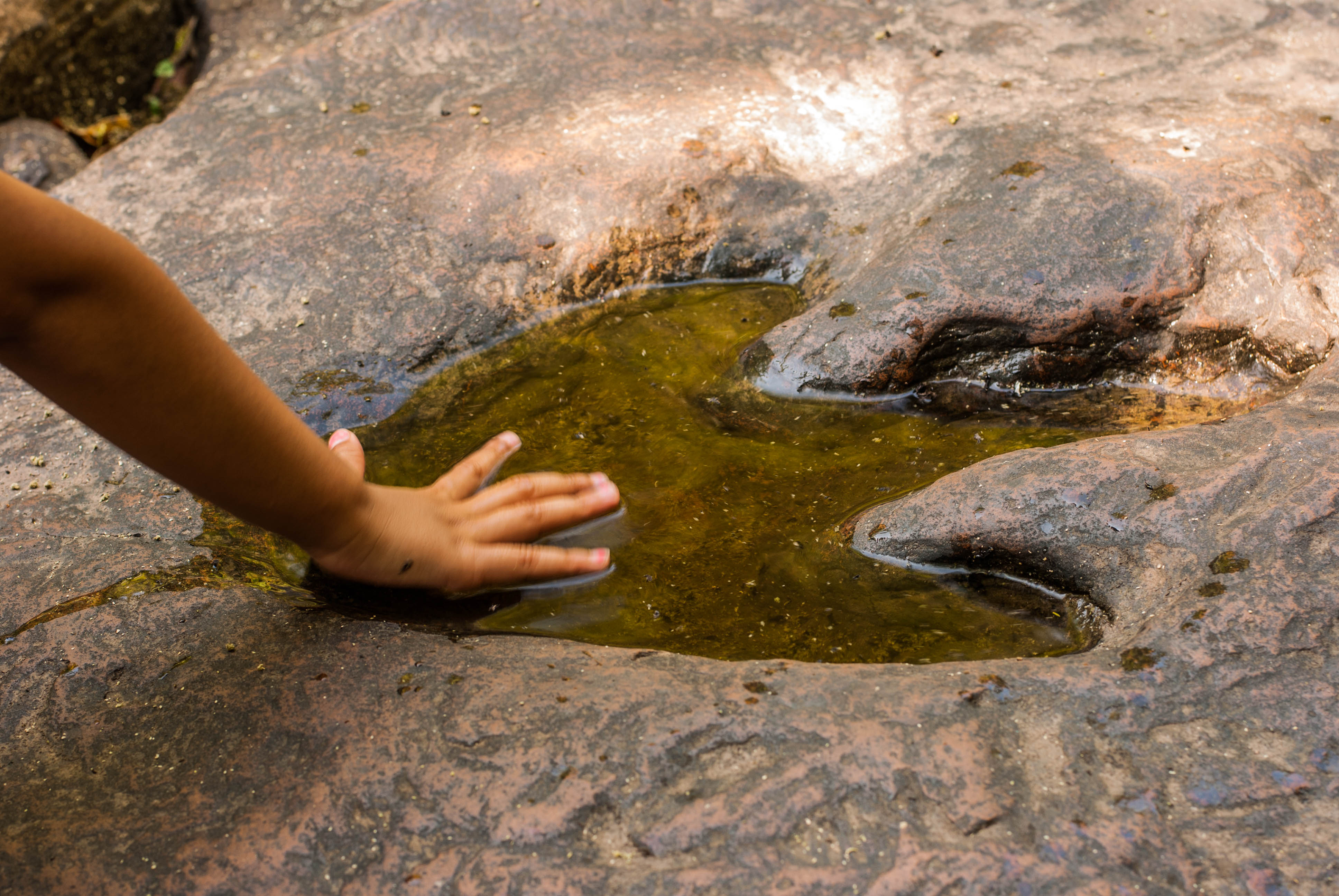 Enormous Dinosaur Footprints Discovered in Texas Riverbed Dried by ...