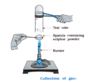 Pratyush took sulphur powder on a spatula and heated it. He collected