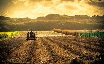 New Technologies Target Nutrient Management for Food Security