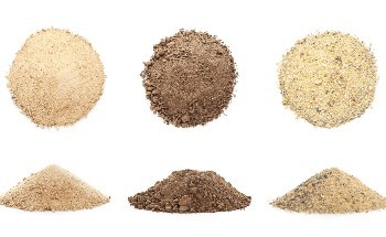 Particle Size Analysis: Focus on the Essentials with the New CAMSIZER S1